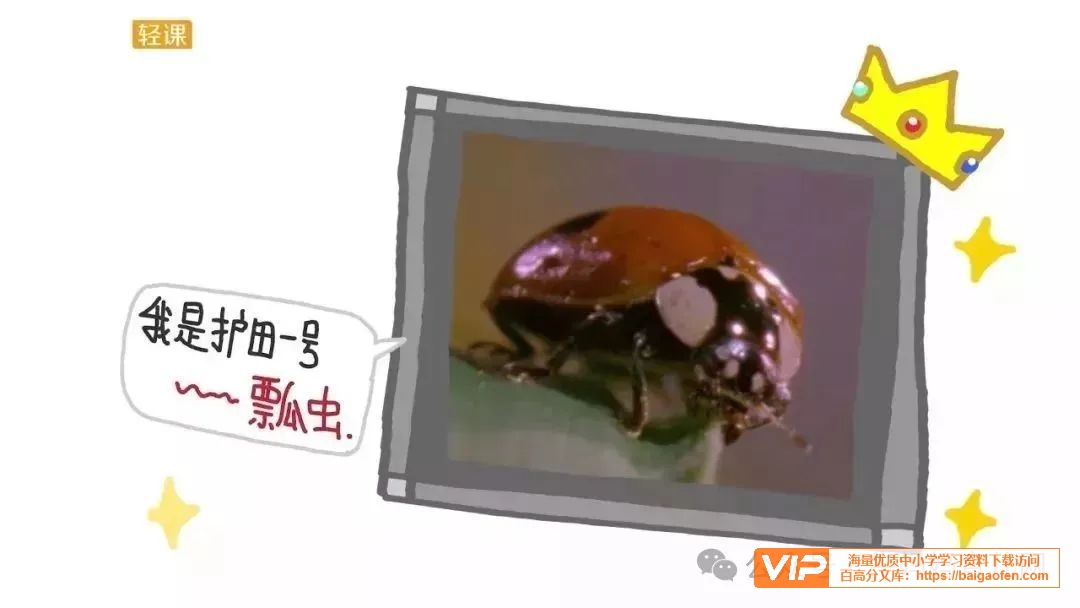 学而思轻课奇妙世界365问【131集完结】+90集升级版+奇妙世界365知识卡片,提升孩子的认知和眼界 学而思轻课奇妙世界365问【131集完结】+90集升级版+奇妙世界365知识卡片,提升孩子的认知和眼界 学习资源百度网盘下载