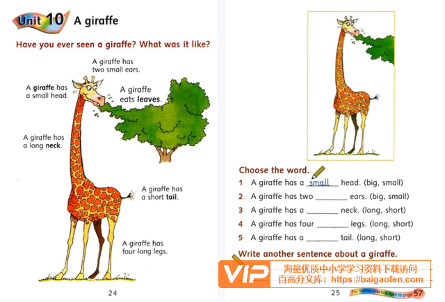 麦克米伦原版英语阅读理解练习册Reading Comprehension G1-6年级 PDF电子版文档 百度网盘下载 麦克米伦原版英语阅读理解练习册Reading Comprehension G1-6年级 PDF电子版文档 百度网盘下载